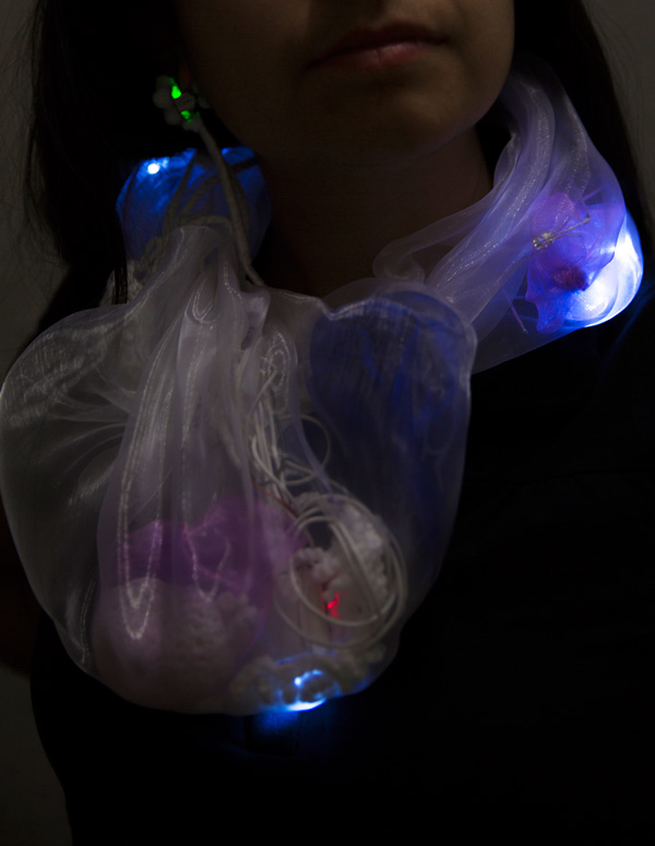 Claudia-Nunez-Collar-1