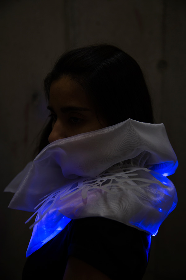 Claudia-Nunez-Collar-2